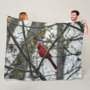 Couverture Polaire Cardinal