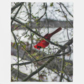 Couverture Polaire Cardinal (Devant)