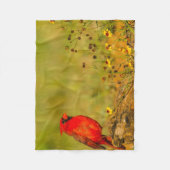 Couverture Polaire Cardinal masculin sur le journal (Devant)