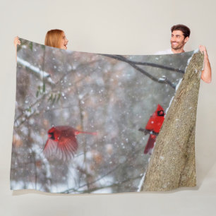 Couverture Polaire Cardinaux dans la neige