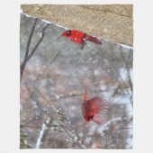 Couverture Polaire Cardinaux dans la neige (Devant)