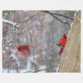 Couverture Polaire Cardinaux dans la neige (Devant (Horizontal))