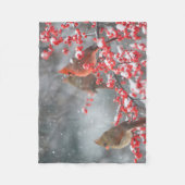 Couverture Polaire Cardinaux du Nord | Marion, Illinois (Devant)