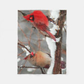 Couverture Polaire cardinaux hommes et femmes (Devant)