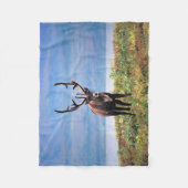 Couverture Polaire Caribou ou renne | Parc national de Denali, Alaska (Devant)