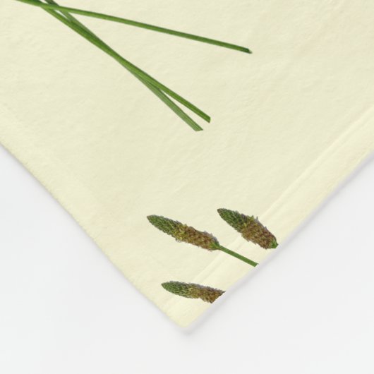 Couverture Polaire Carl Doddy (Coin)