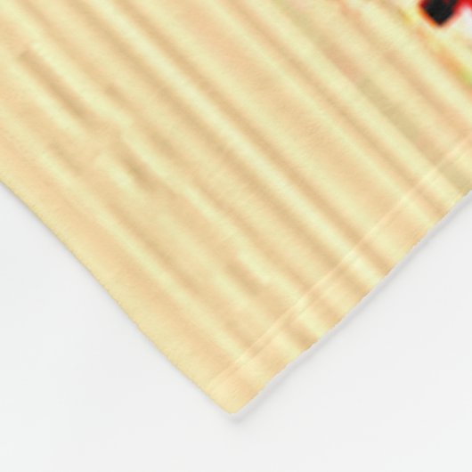 Couverture Polaire CARTE DU VIETNAM par DIVISIONS (Coin)