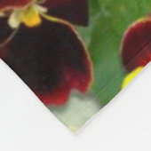 Couverture Polaire Cascade de Pansy (Coin)