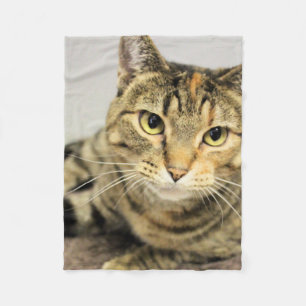 Couverture Polaire Cat