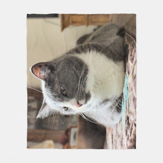 Couverture Polaire Cat (Devant)