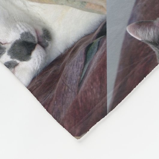 Couverture Polaire Cat Napping (Coin)