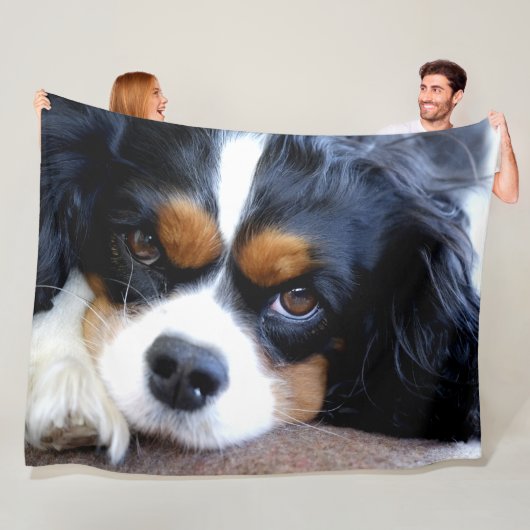COUVERTURE POLAIRE CAVALIER KING CHARLES ÉPAGNEULS (En situation)