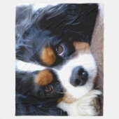 COUVERTURE POLAIRE CAVALIER KING CHARLES ÉPAGNEULS (Devant)