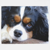 COUVERTURE POLAIRE CAVALIER KING CHARLES ÉPAGNEULS (Devant (Horizontal))