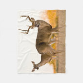 Couverture Polaire Cerf à queue blanche | Automne au Texas (Devant)