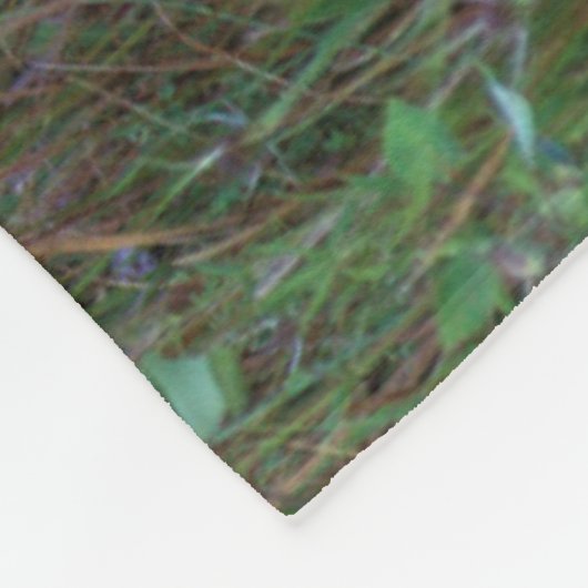 Couverture Polaire Cerf à queue blanche | National Bison Range Montan (Coin)