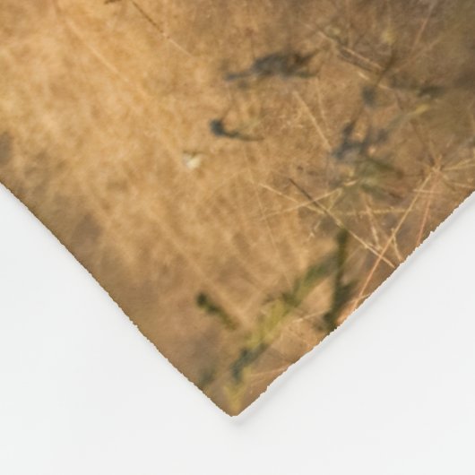 Couverture Polaire Cerf à queue blanche | Sud du Texas (Coin)