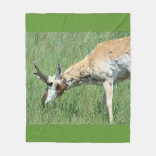 Couverture Polaire Cerf antilope A11 broutant