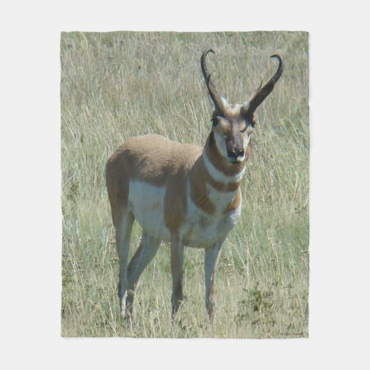 Couverture Polaire Cerf antilope A13 (Devant)