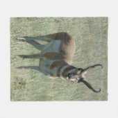 Couverture Polaire Cerf antilope A13 (Devant (Horizontal))