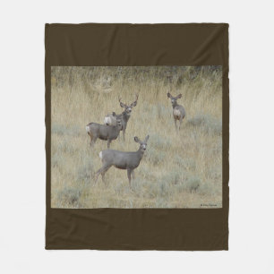 Couverture Polaire Cerf mulet D18