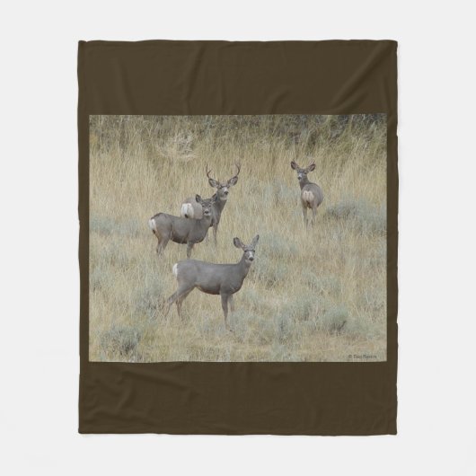 Couverture Polaire Cerf mulet D18 (Devant)