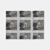 Couverture Polaire Cerveau de loutre (Devant (Horizontal))