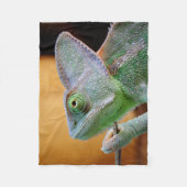 Couverture Polaire Chameleon voilé (Devant)