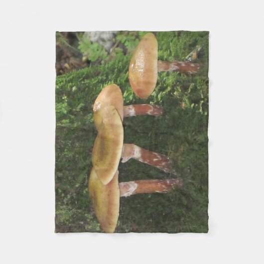 Couverture Polaire Champignons (Devant)