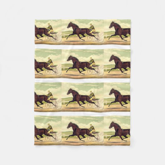 Couverture Polaire Champion boudeur SUPÉRIEUR (Devant)