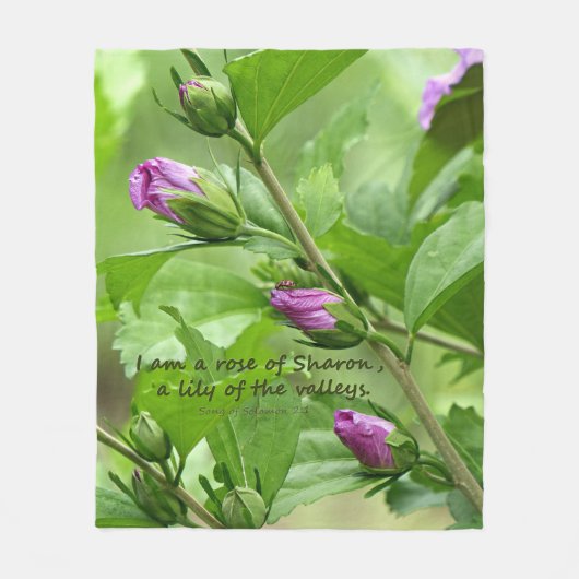 Couverture Polaire Chanson de Salomon 2:1 (Devant)