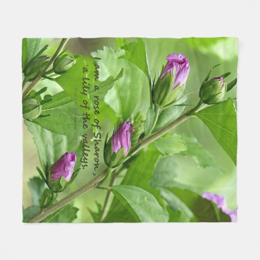 Couverture Polaire Chanson de Salomon 2:1 (Devant (Horizontal))