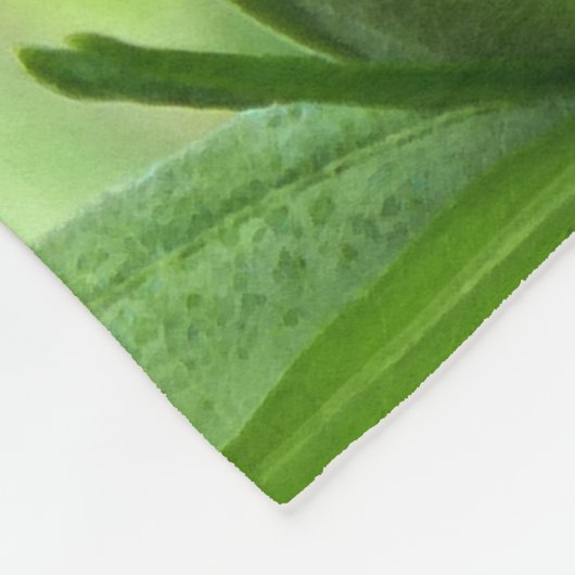 Couverture Polaire Chanson de Salomon 2:1 (Coin)