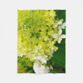 Couverture Polaire Chartreuse Vert, Limelight Hydrangea, (Devant)
