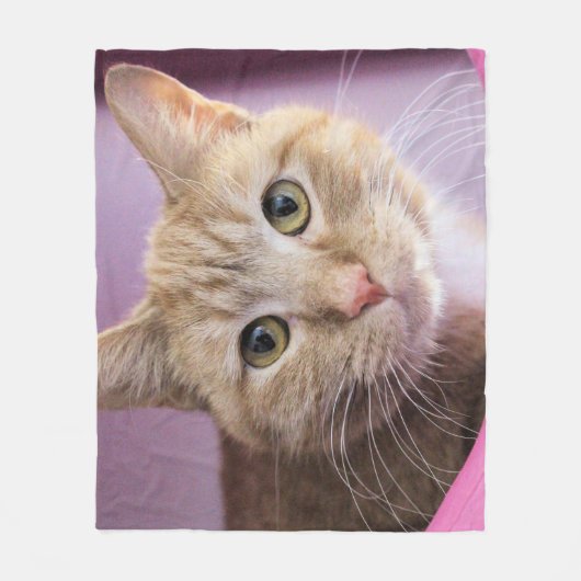 Couverture Polaire Chat (Devant)