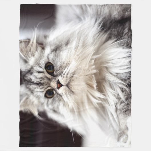 COUVERTURE POLAIRE CHAT BLANC (Devant)