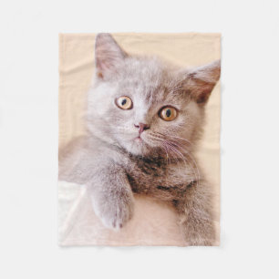 Couverture Polaire Chat britannique mignon de Shorthair