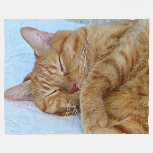 Couverture Polaire Chat couché (Devant (Horizontal))