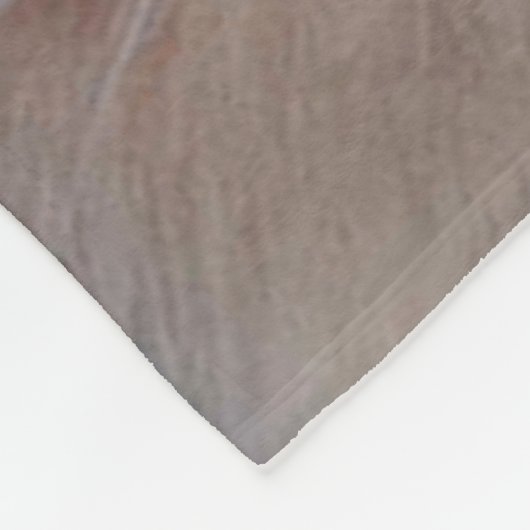 Couverture Polaire Chat de l'Himalaya (Coin)