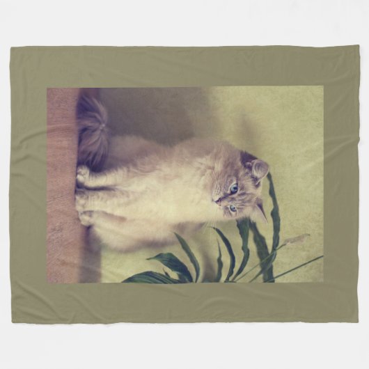 Couverture Polaire Chat de Ragdoll (Devant (Horizontal))