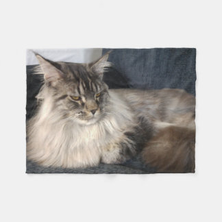 Couverture Polaire Chat de ragondin du Maine