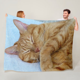 Couverture Polaire Chat endormi