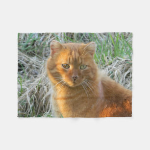 Couverture Polaire chat orange