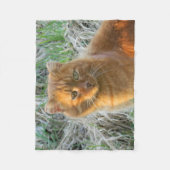 Couverture Polaire chat orange (Devant)