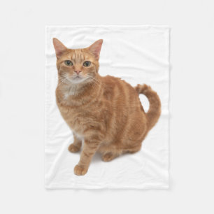 Couverture Polaire Chat orange debout