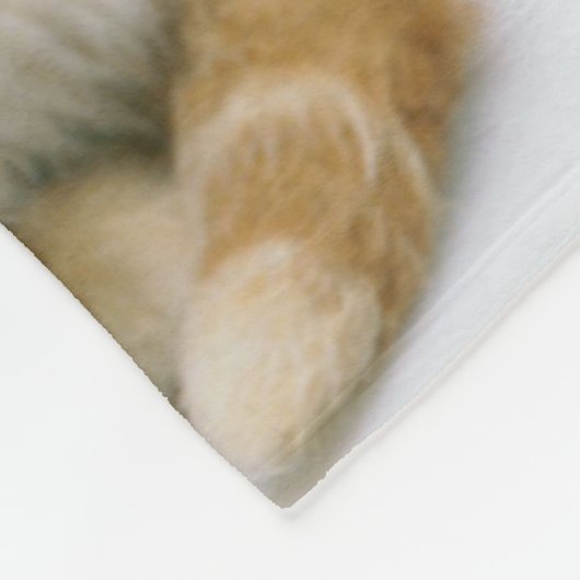 Couverture Polaire Chat tigré d'orange douce (Coin)