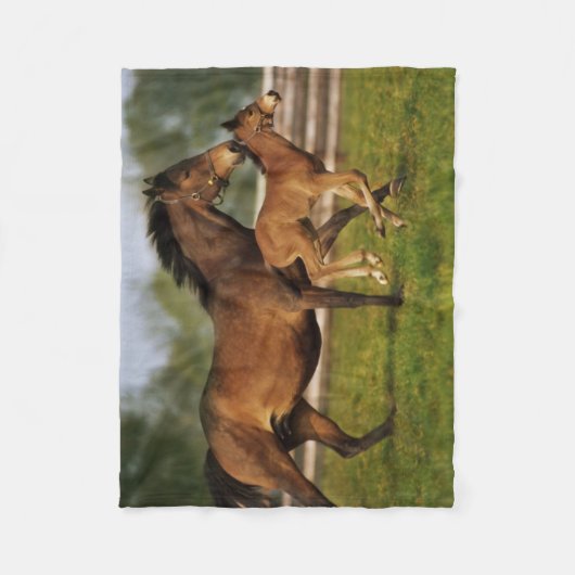 Couverture Polaire Châtaigne de Thoroughbred Mare & Foie (Devant)