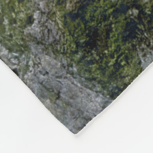 Couverture Polaire Château allemand Fairytale (Coin)