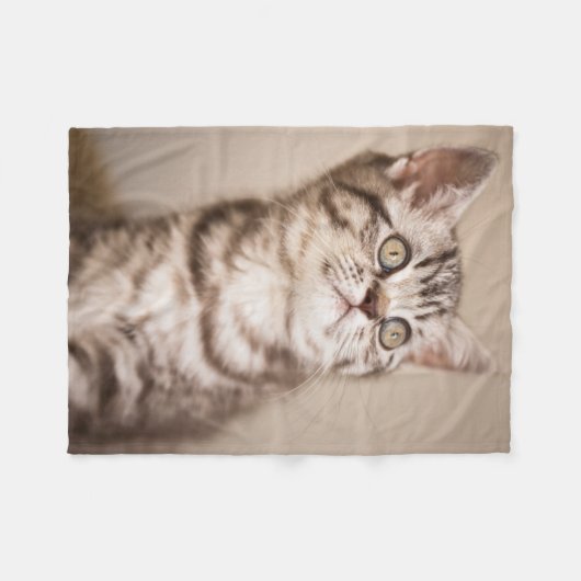 Couverture Polaire Chaton britannique gris mignon de cheveux courts (Devant (Horizontal))