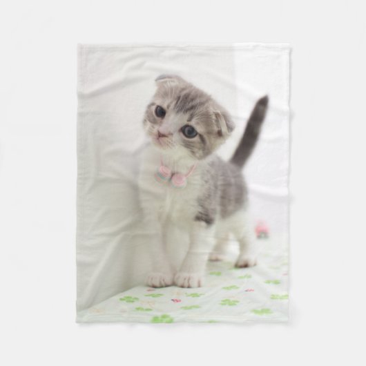 Couverture Polaire Chaton de pli d'écossais (Devant)